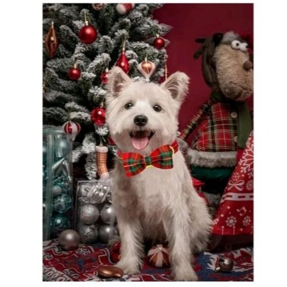 Lionheart glory Christmas Plaid Dog Collar, Dog Bow Collar Adjustable Small - Picture 3 of 10